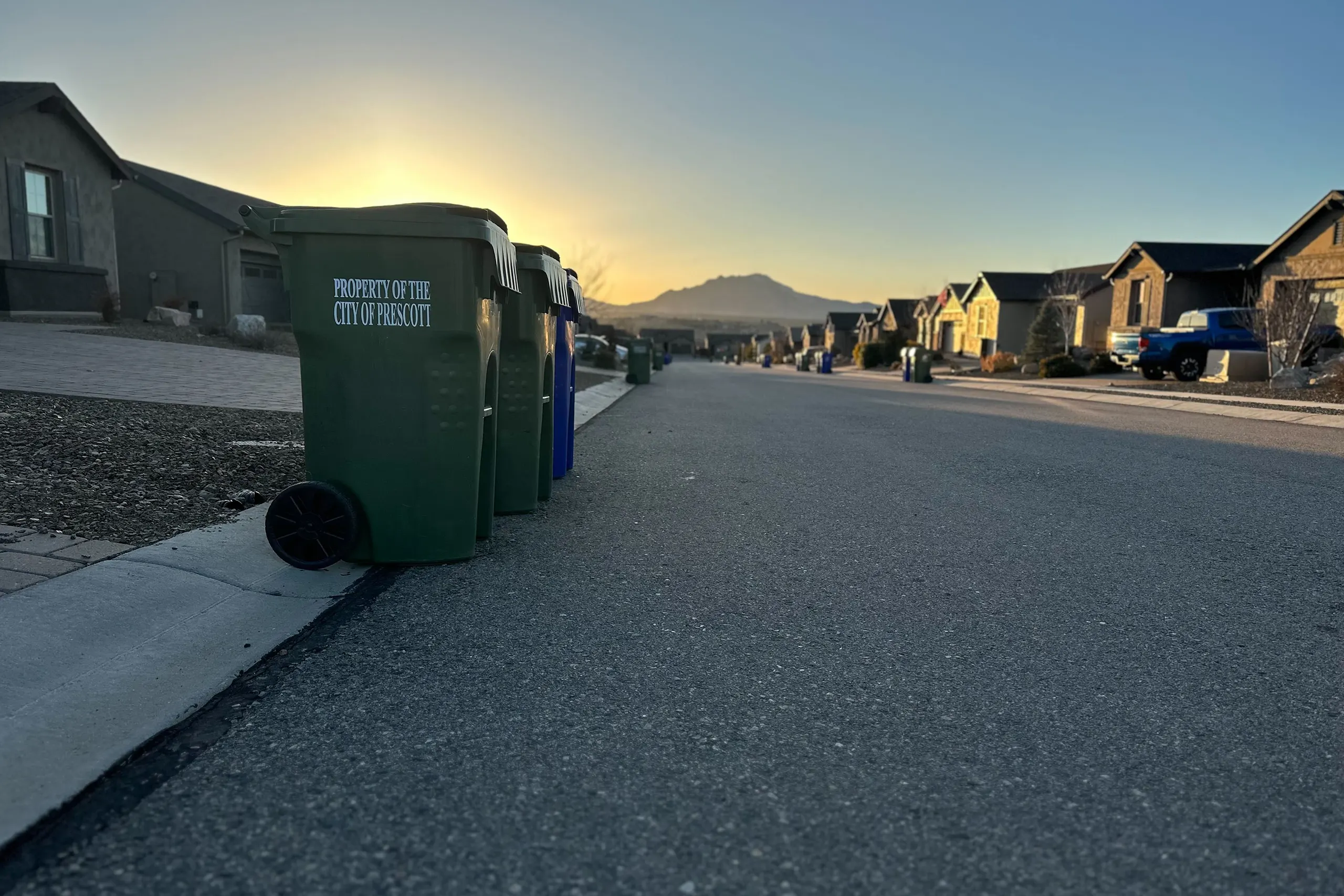 Why Dirty Trash Bins are a Health Hazard (and What You Can Do About It)